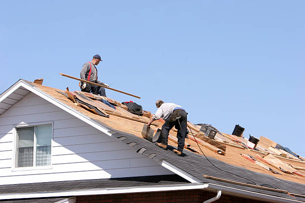 Best Solar Panel Roofing Installation  in Selma, CA